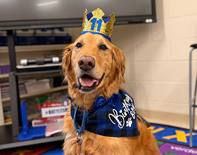 Ace turns 11 years old!